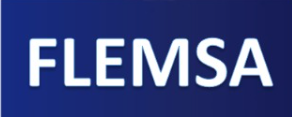 GRUPO FLEMSA Logo